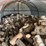 #3579-•-large-piles-of-mostly-dried-cut-firewood-image-5