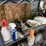 #3616-•-contents-of-room-image-7