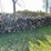 #5508-•-door-county-cherry-wood-image-1
