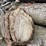 #5523-•-door-county-cherry-wood-image-6