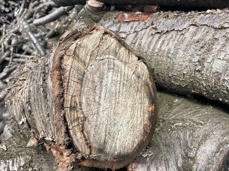 #5523-•-door-county-cherry-wood-image-6