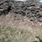 #5528-•-door-county-cherry-wood-image-1