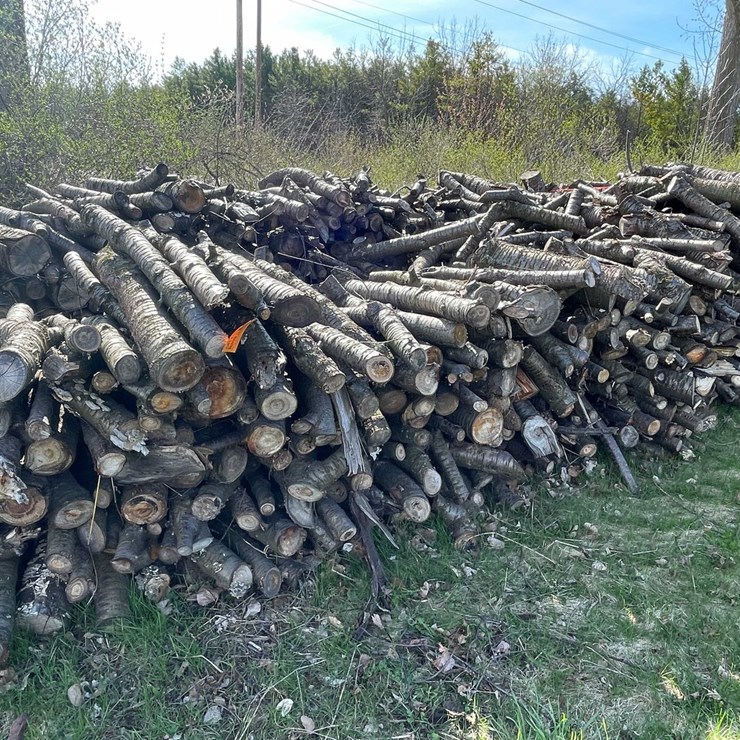 #5511 • Door County Cherry Wood