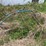 #3586-•-assorted-scrap-metal,-gate-parts,-guard-rails-and-more-image-12