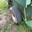 john-deere-336-image-7