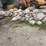 #6009-•-rock-pile-image-2