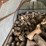 #3579-•-large-piles-of-mostly-dried-cut-firewood-image-6