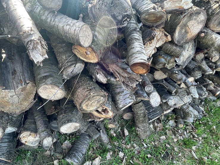 #5506-•-door-county-cherry-wood-image-3