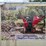 #5-•-towable-wood-chipper---wc-red-image-2