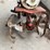 #3570-•-ariens-rototiller-image-3