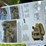 #121-•-2014-magnatrac-mh-7000-crawler-loader-image-20