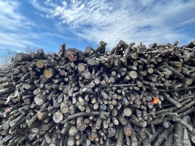 #5526-•-door-county-cherry-wood-image-5