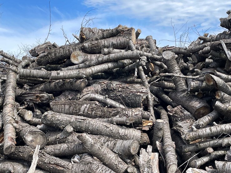 #5518-•-door-county-cherry-wood-image-5