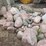#6009-•-rock-pile-image-6