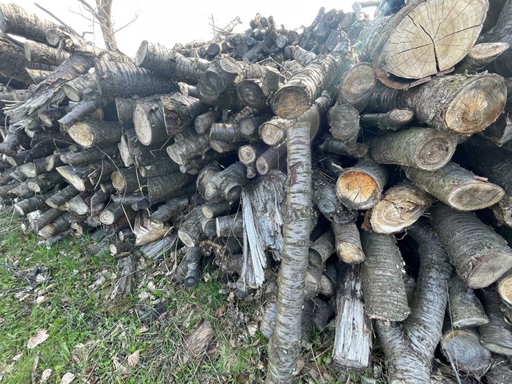 #5505-•-door-county-cherry-wood-image-6