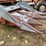 #3518-•-allis-chalmers-fl330-corn-head-image-3