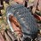 #5502-•-cultivator-image-15