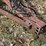 #5502-•-cultivator-image-12