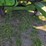 e-z-trail-20ft-head-cart,-head-not-included-image-6
