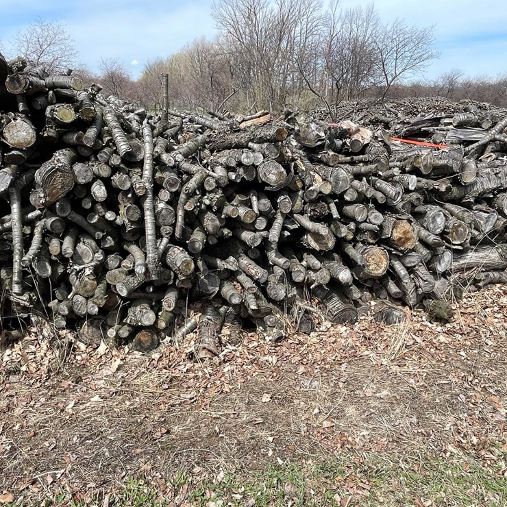 #5529 • Door County Cherry Wood