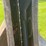 #157-•-ctr-bucksaw-image-14