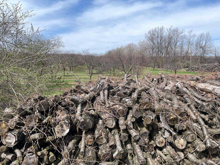 #5531-•-door-county-cherry-wood-image-3