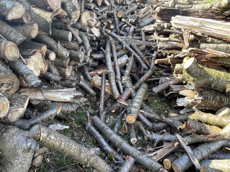 #5510-•-door-county-cherry-wood-image-5