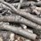 #5519-•-door-county-cherry-wood-image-6