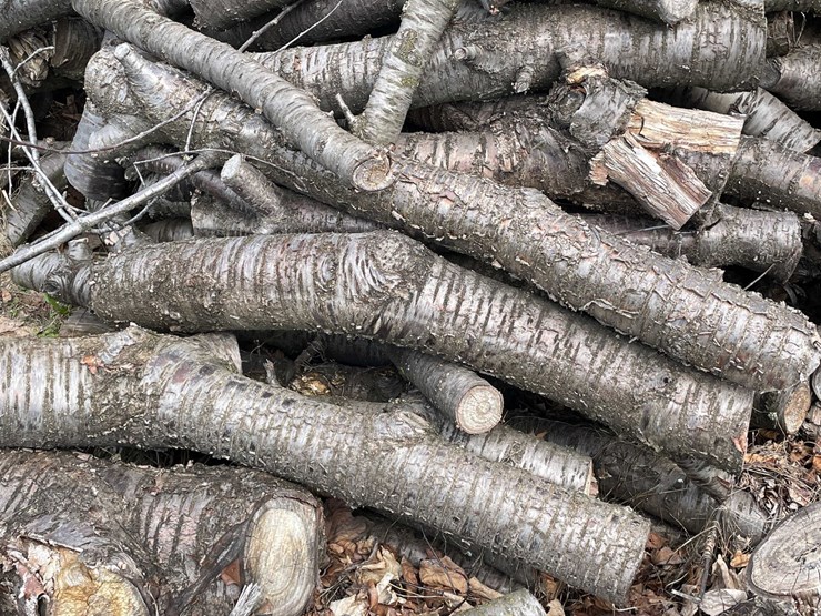 #5519-•-door-county-cherry-wood-image-6