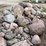 #6009-•-rock-pile-image-8