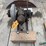 #5533-•-old-gasoline-engine-image-3