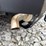 #40693-•-unused-yakta-yxr120-54"-zero-turn-mower-198023-inv#-40693-image-24