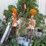 #6085-•-concrete-shoots,-construction-barriers-and-more-image-1