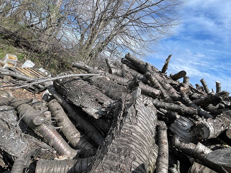 #5514-•-door-county-cherry-wood-image-5