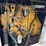 generactowable-generator-image-13