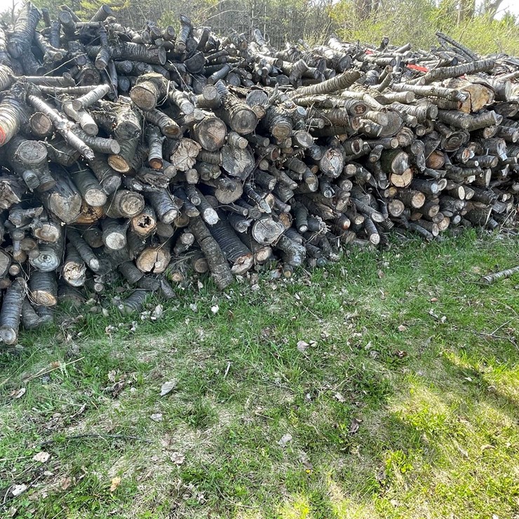 #5506 • Door County Cherry Wood