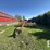 new-holland-116-image-2