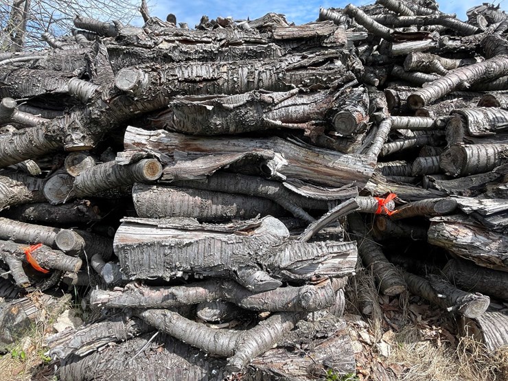 #5515-•-door-county-cherry-wood-image-1