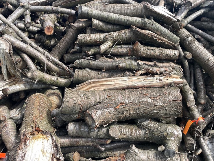 #5524-•-door-county-cherry-wood-image-3