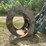 #119-•-volvo-log-grapple-forks-image-3