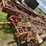 #3526-•-(2)-hayrite-elevators-image-14