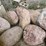 #6009-•-rock-pile-image-7