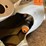 #3597-•-(2)-whitetail-deer-decoys-image-5