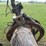 #151-•-barking-495ml-self-propelled-knuckleboom-image-10