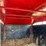 #3504-•-h&s-cattle-trailer-with-2"-ball-hitch-(no-title)-image-8