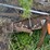 #3586-•-assorted-scrap-metal,-gate-parts,-guard-rails-and-more-image-4