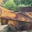 caterpillar-621-image-37