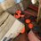 #3611-•-fowl-play-clay-pigeon-thrower-image-8
