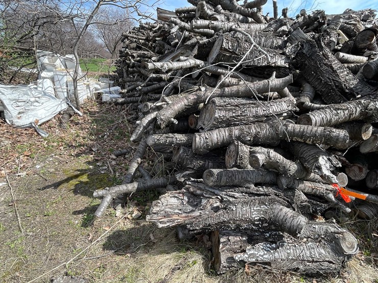 #5514-•-door-county-cherry-wood-image-1