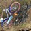 #3525-•-(2)-murray-brand-bicycles-image-2